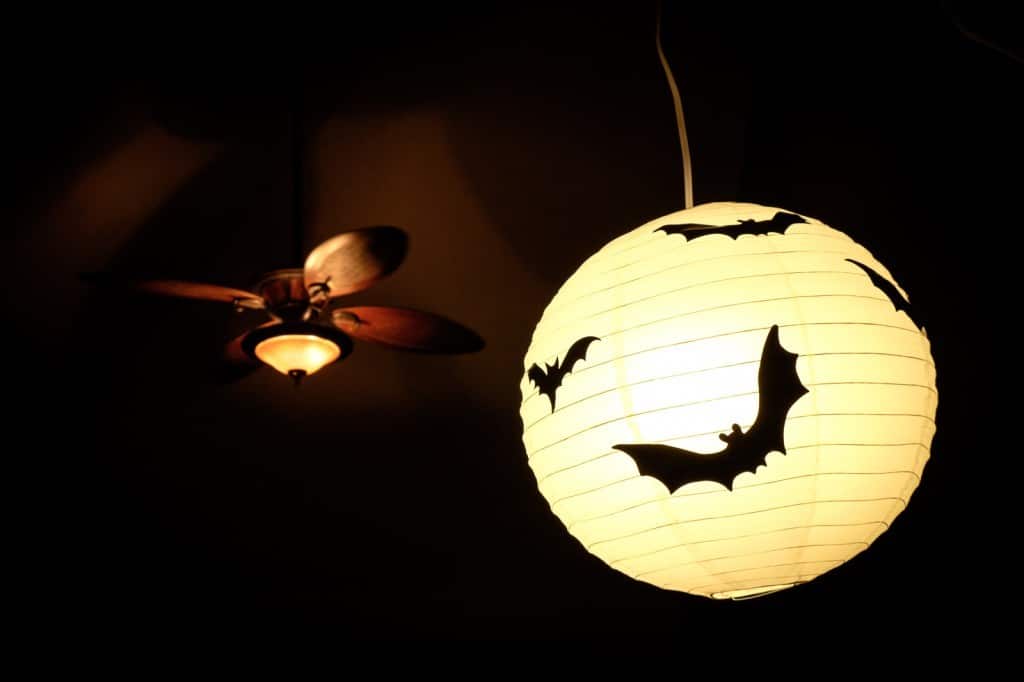 easy bat paper lantern