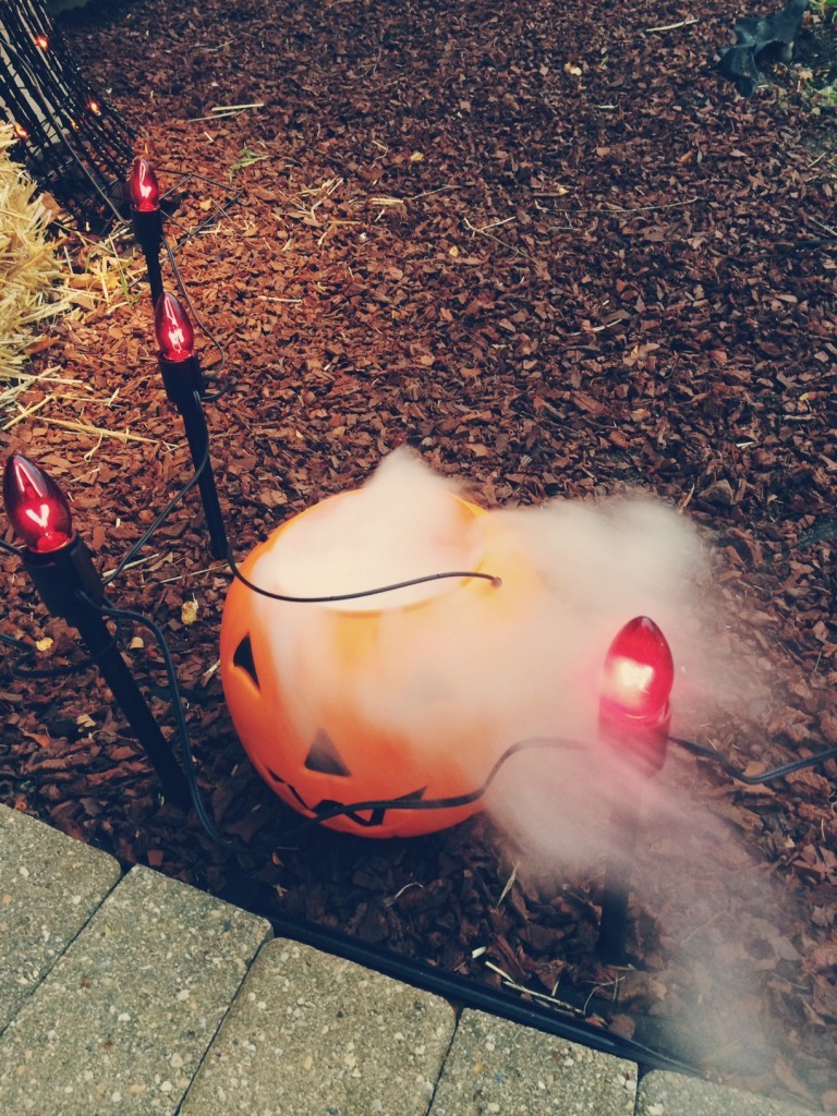 foggy pumpkin