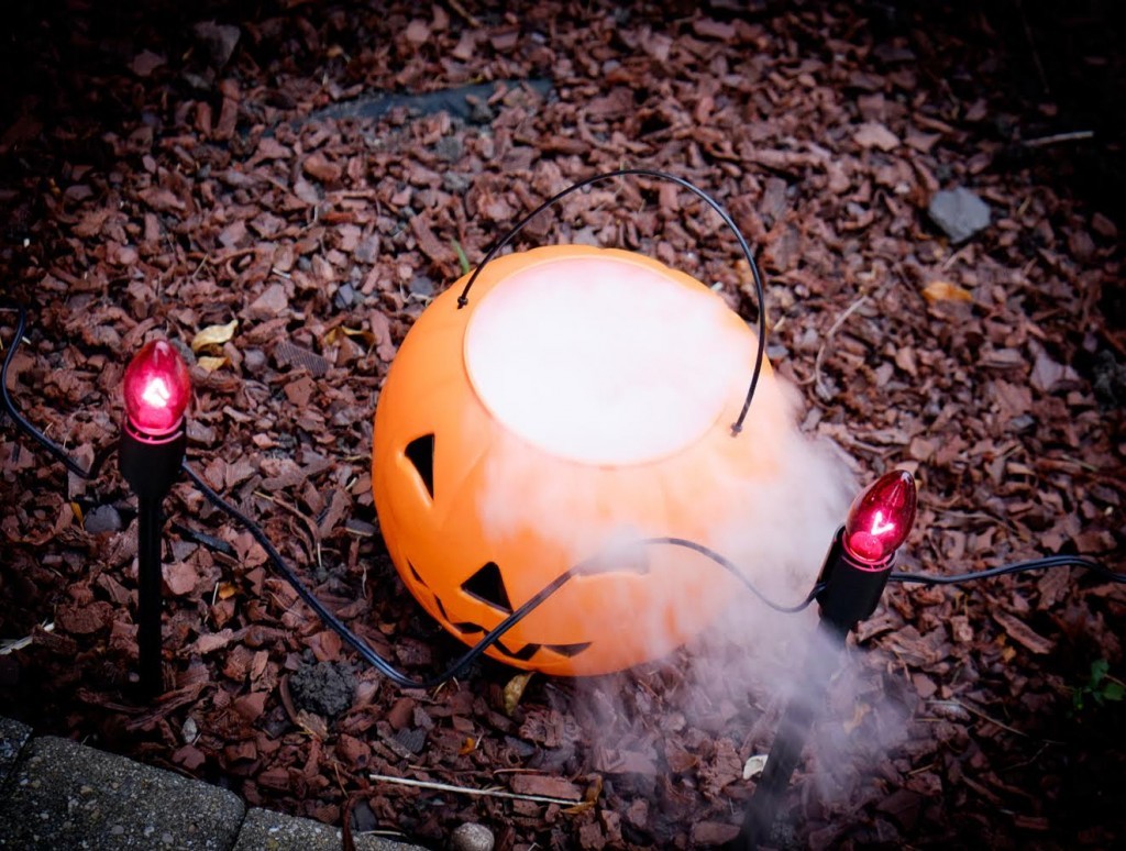 foggy pumpkin