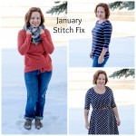 January Stitch Fix