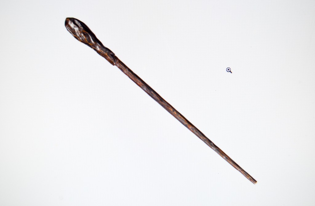 Bill Weasley's wand