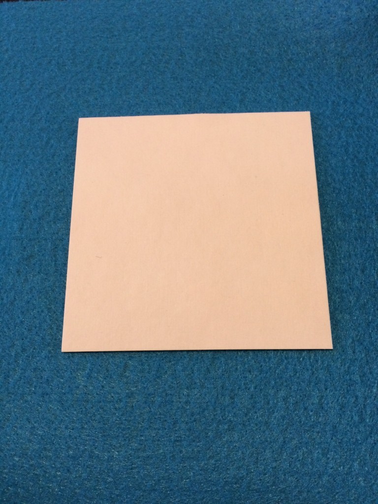 cardboard insert