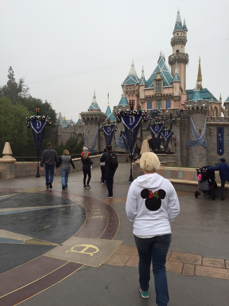 Hoodie at the Disneyland Castle