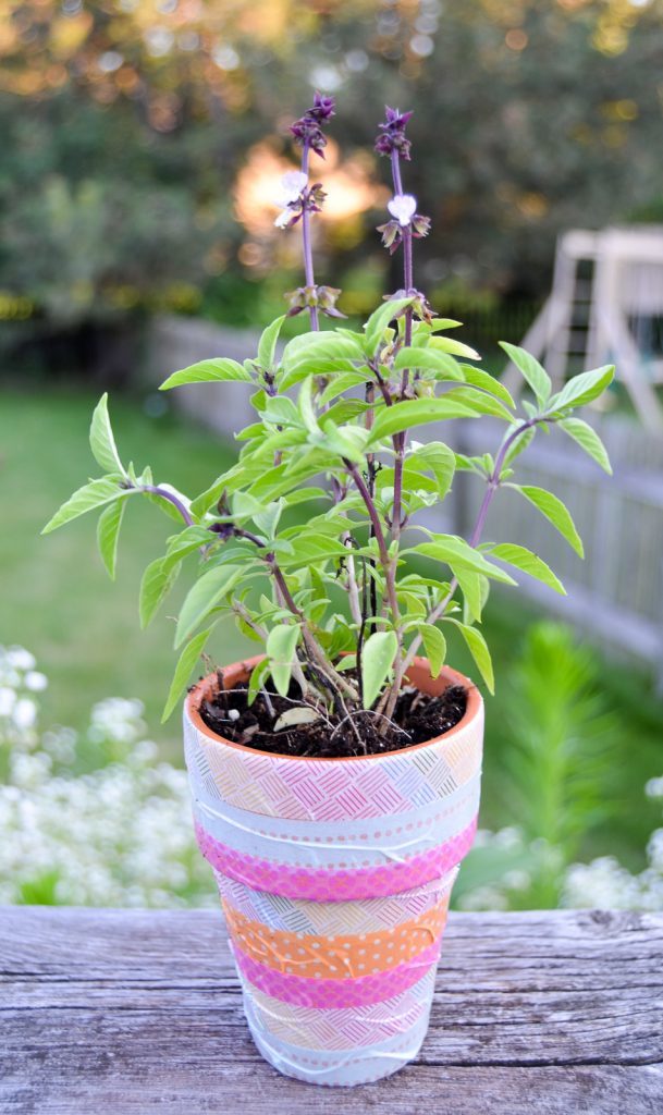 Washi Tape Flowerpot