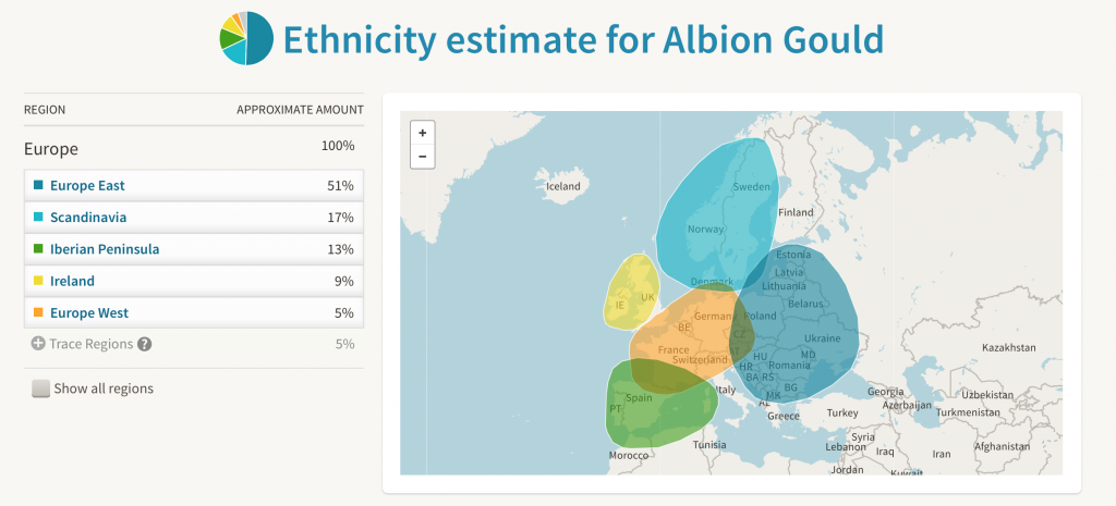Ancestry DNA Results