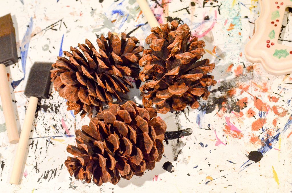 pinecones