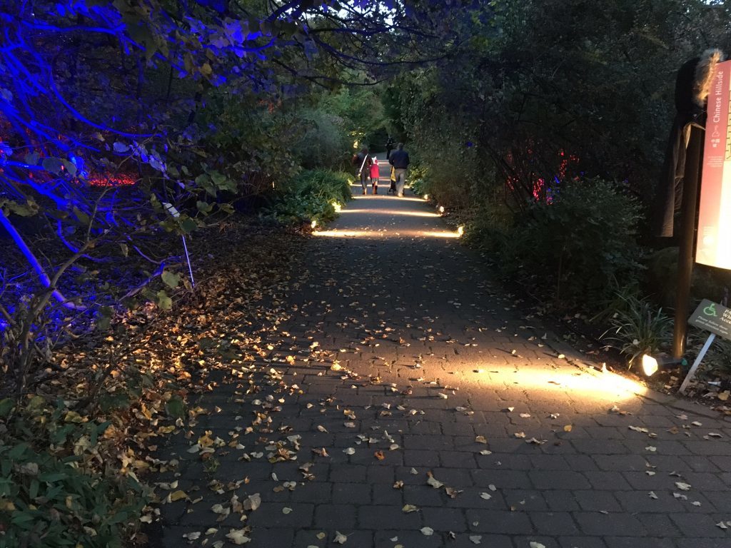Botanic Lights 2016