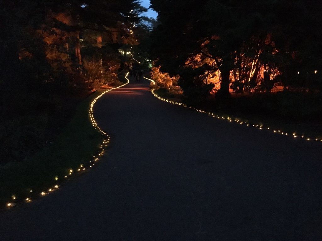 Botanic Lights 2016