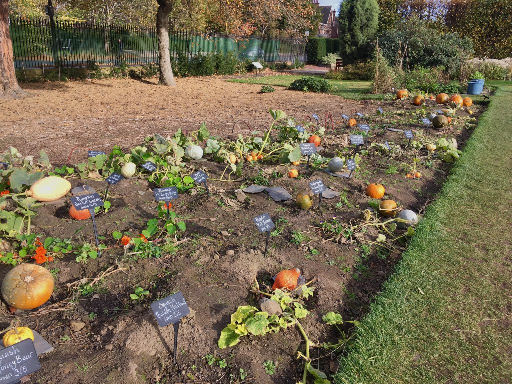 Royal Botanic Garden Edinburgh