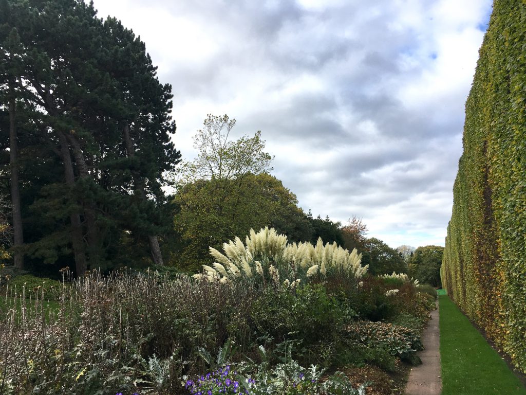 Royal Botanic Garden Edinburgh