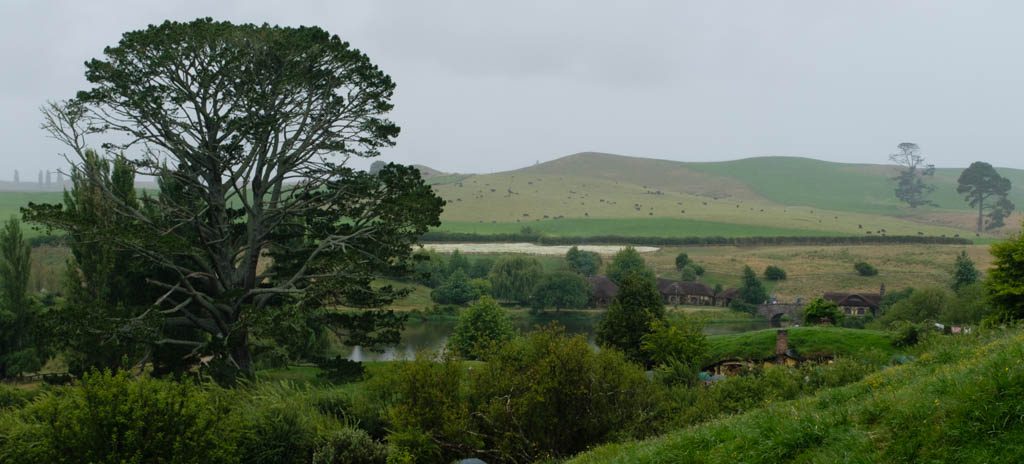 Hobbiton Movie Set Tour