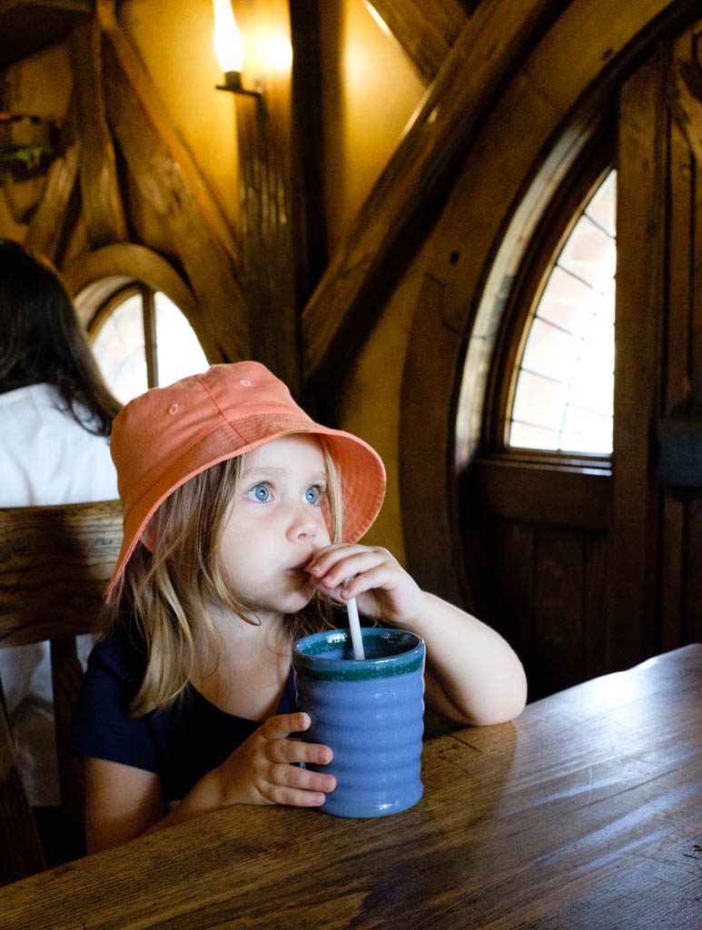 Hobbiton Movie Set Tour