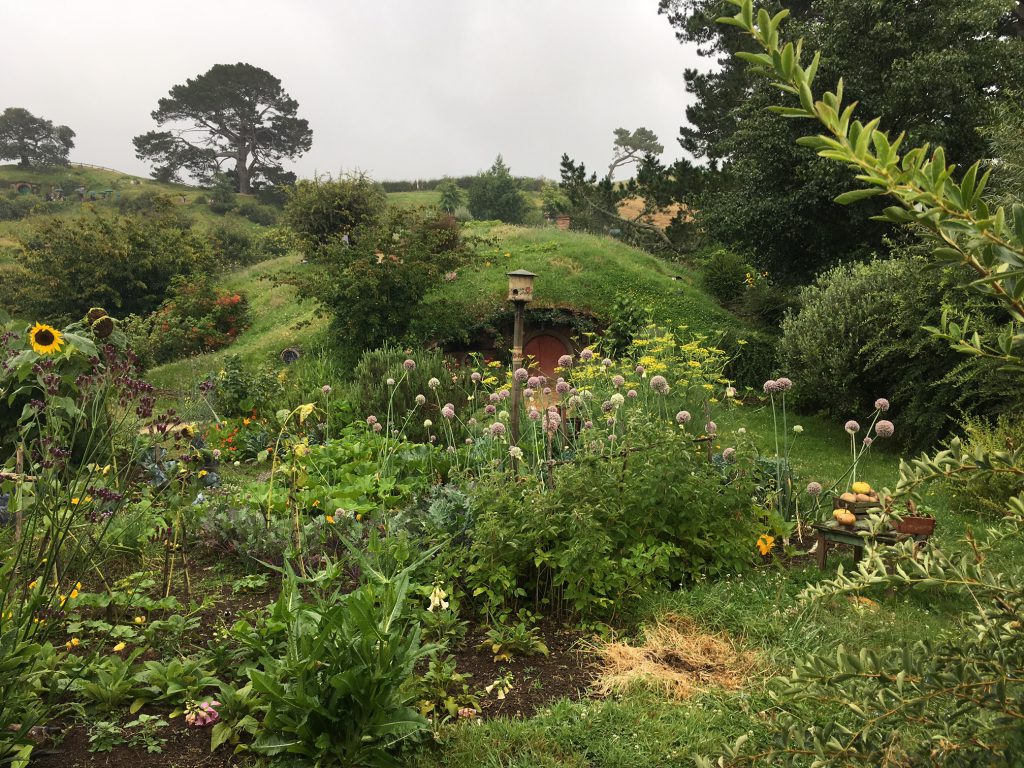 Hobbiton Movie Set Tour