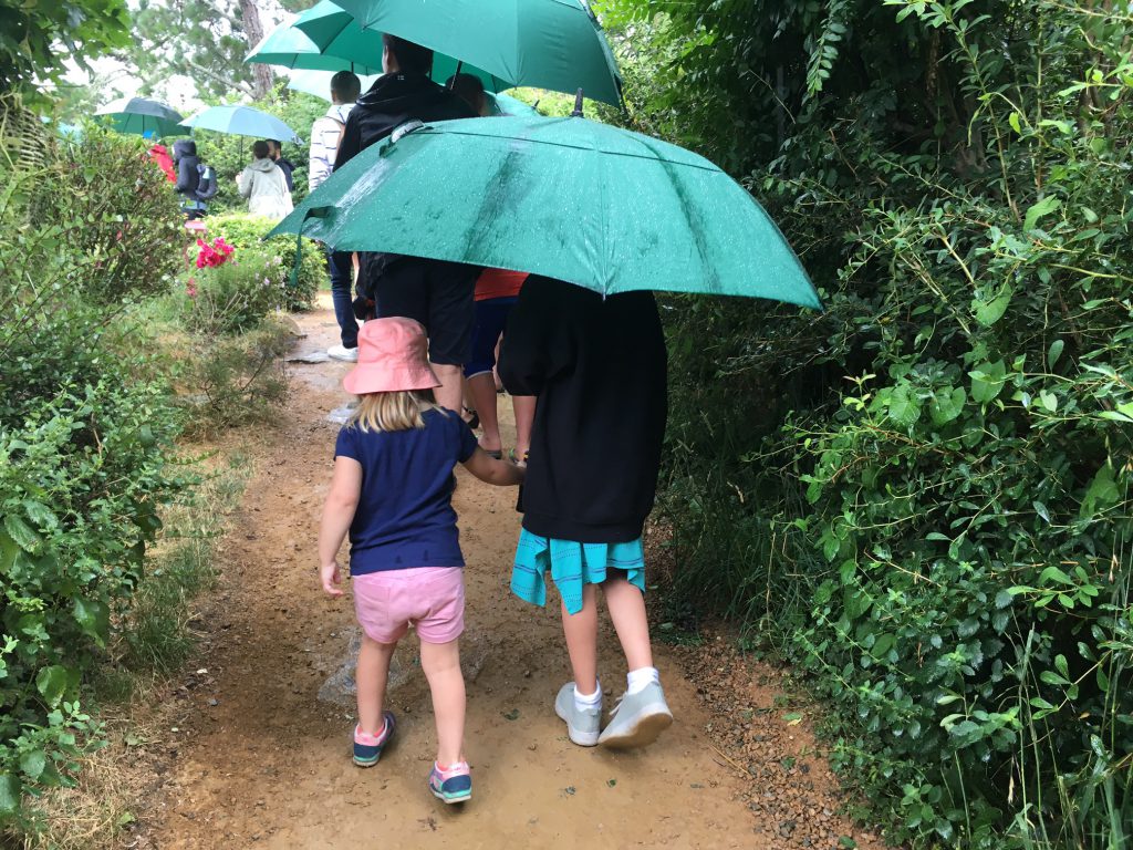 Hobbiton Movie Set Tour