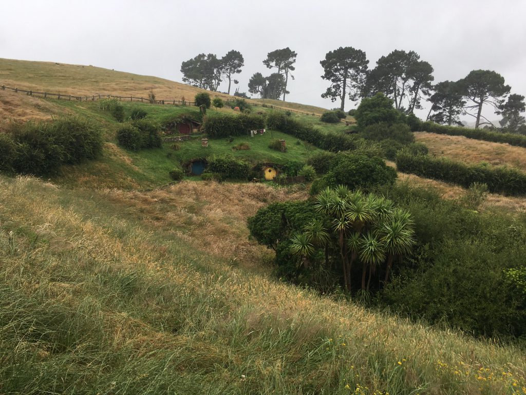 Hobbiton Movie Set Tour