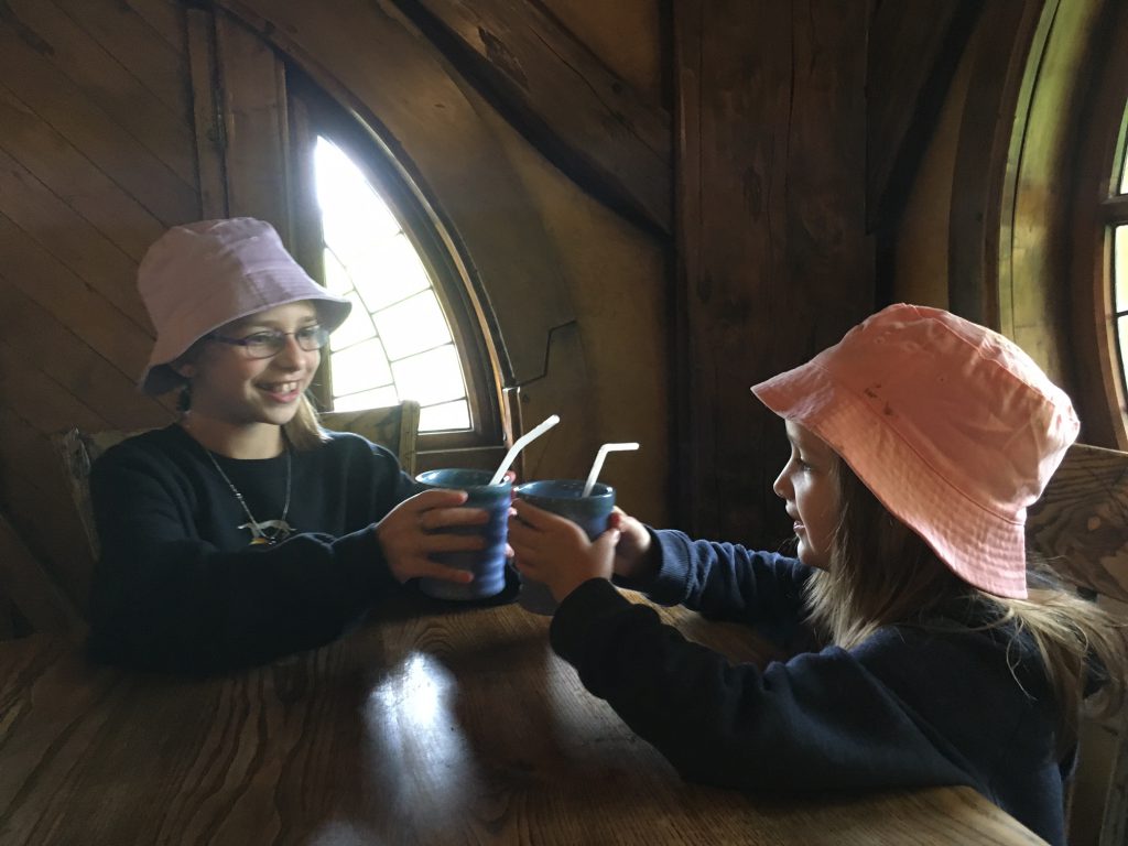 Hobbiton Movie Set Tour