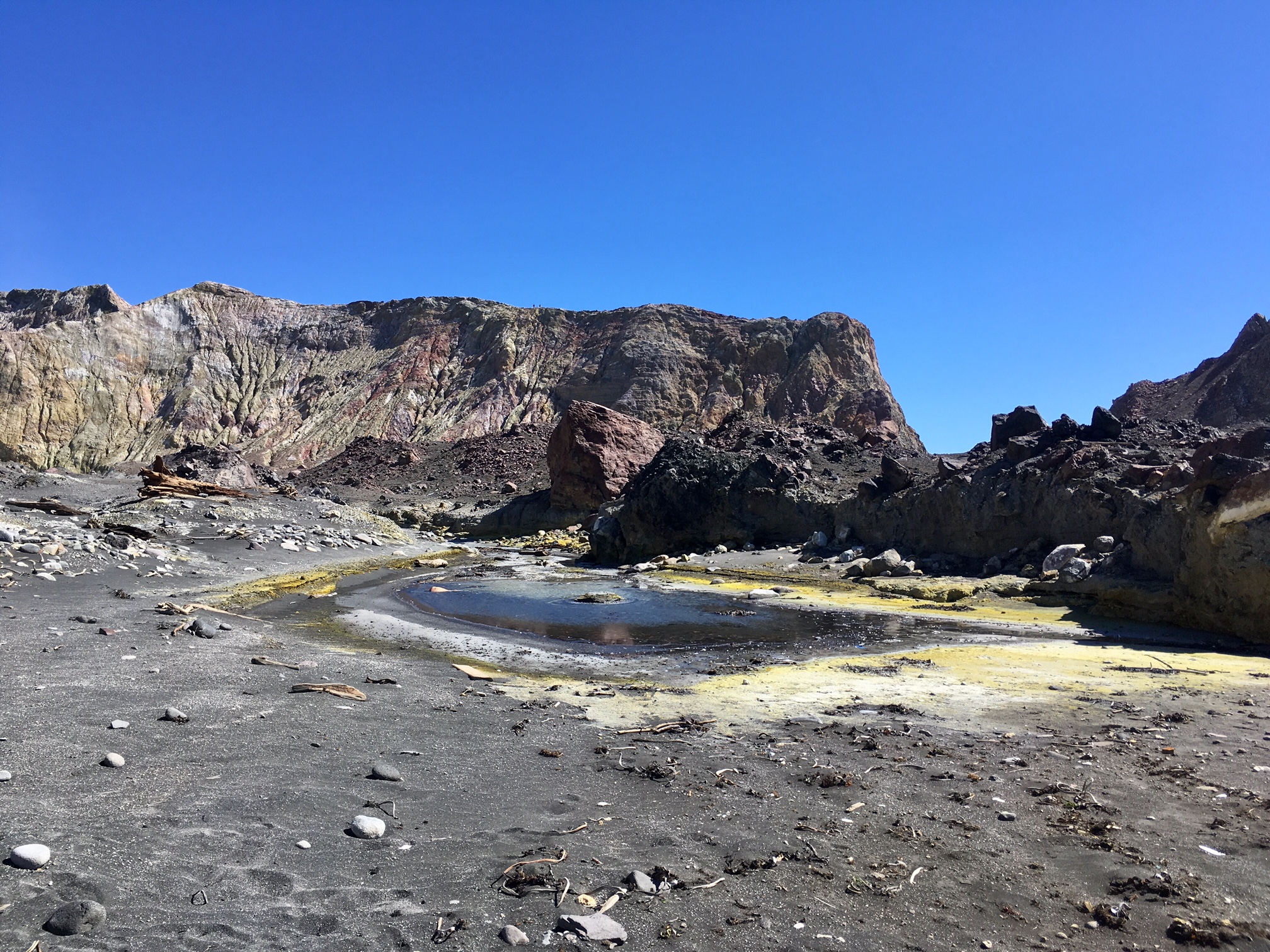 White Island Tour