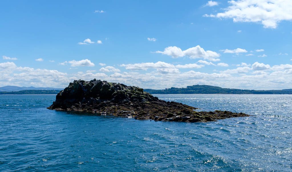 A Day on Inchcolm Island