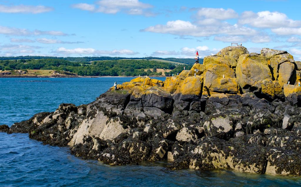 A Day on Inchcolm Island