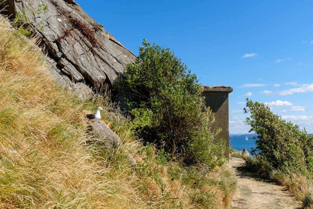 A Day on Inchcolm Island