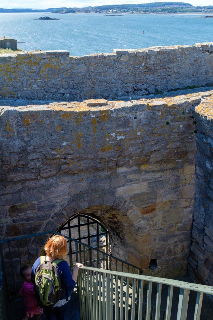 A Day on Inchcolm Island