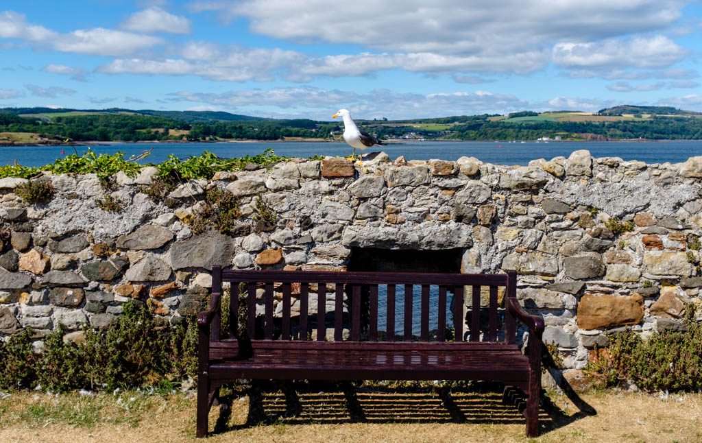 A Day on Inchcolm Island