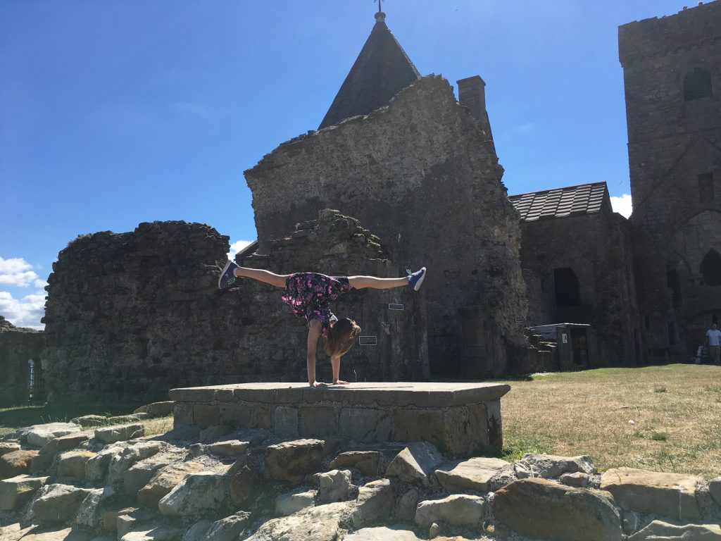 A Day on Inchcolm Island