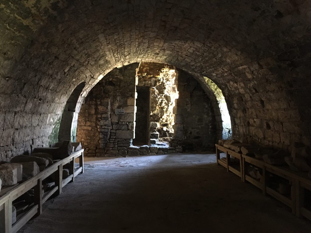 A Day on Inchcolm Island