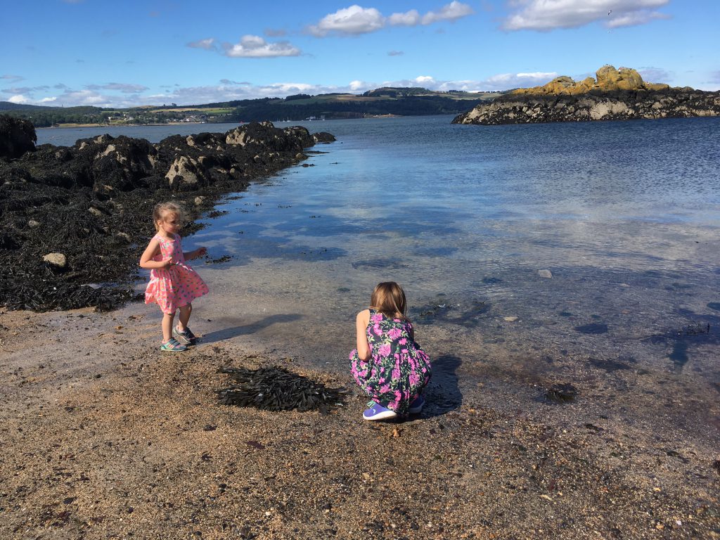 A Day on Inchcolm Island