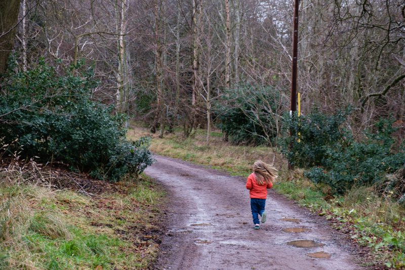 Where to See Highland Cows in Edinburgh