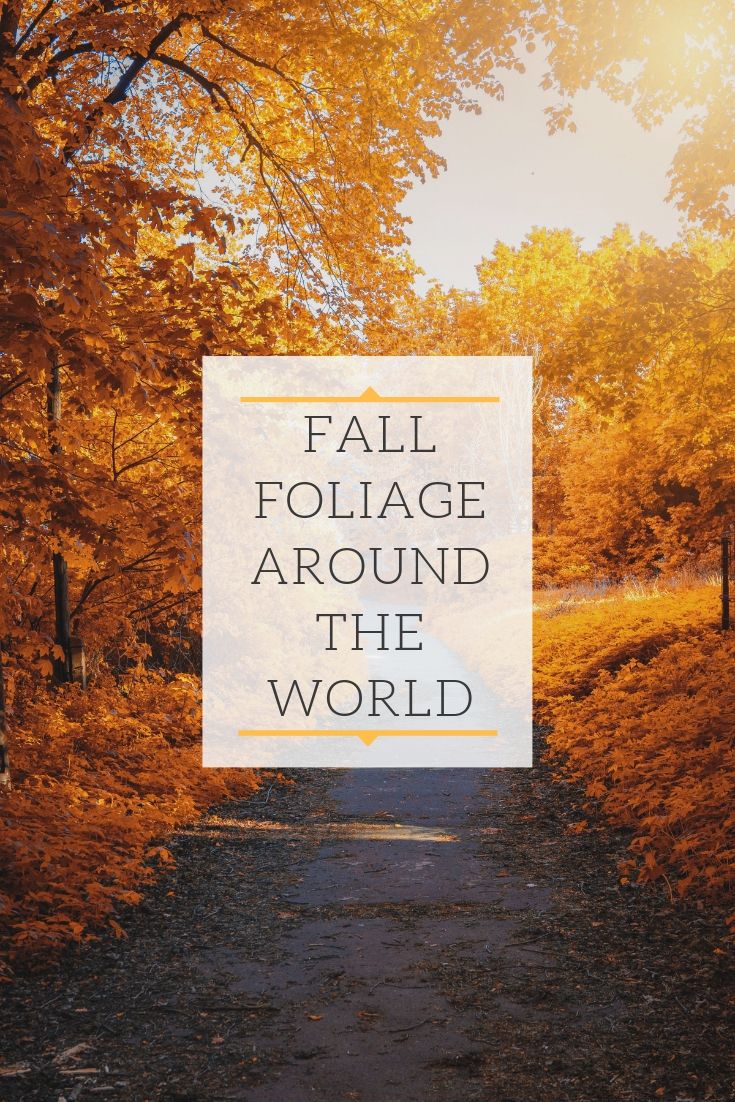Fall Foliage Around the World