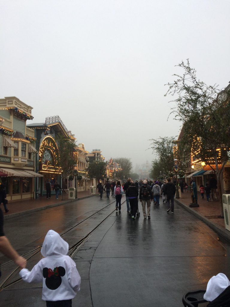 Bad Weather at Disneyland and How to Save the Day