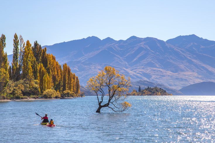 Fall Foliage Around the World