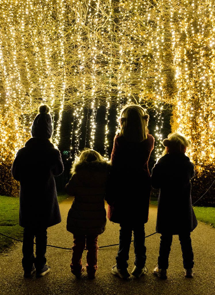 Royal Botanic Garden Edinburgh