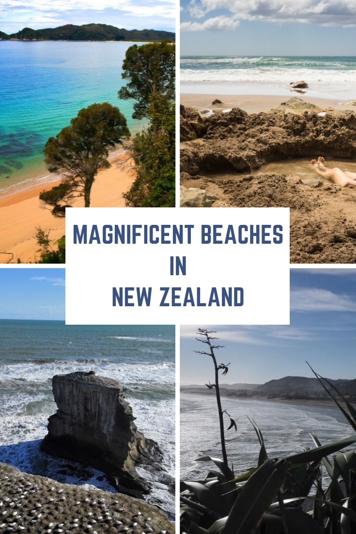 Magnificent Beaches in New Zealand