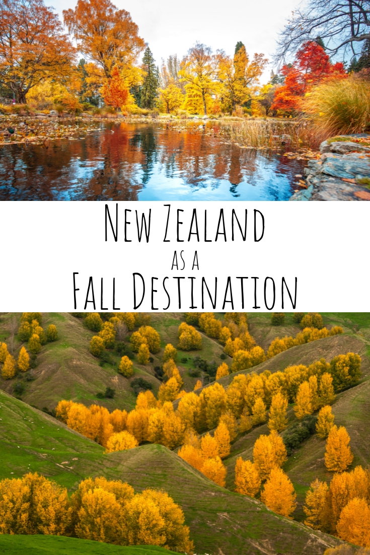 Why You Should Consider a Fall Visit to New Zealand