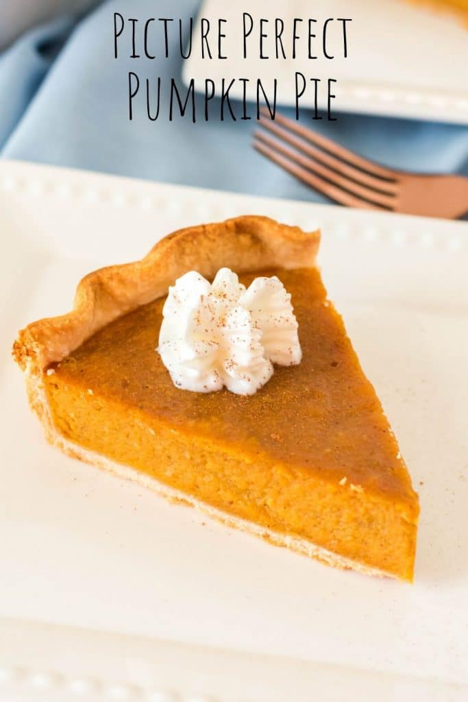 Picture Perfect Pumpkin Pie