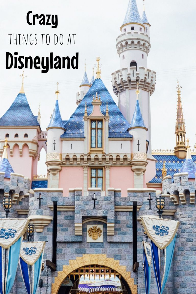 Crazy Things to do at Disneyland