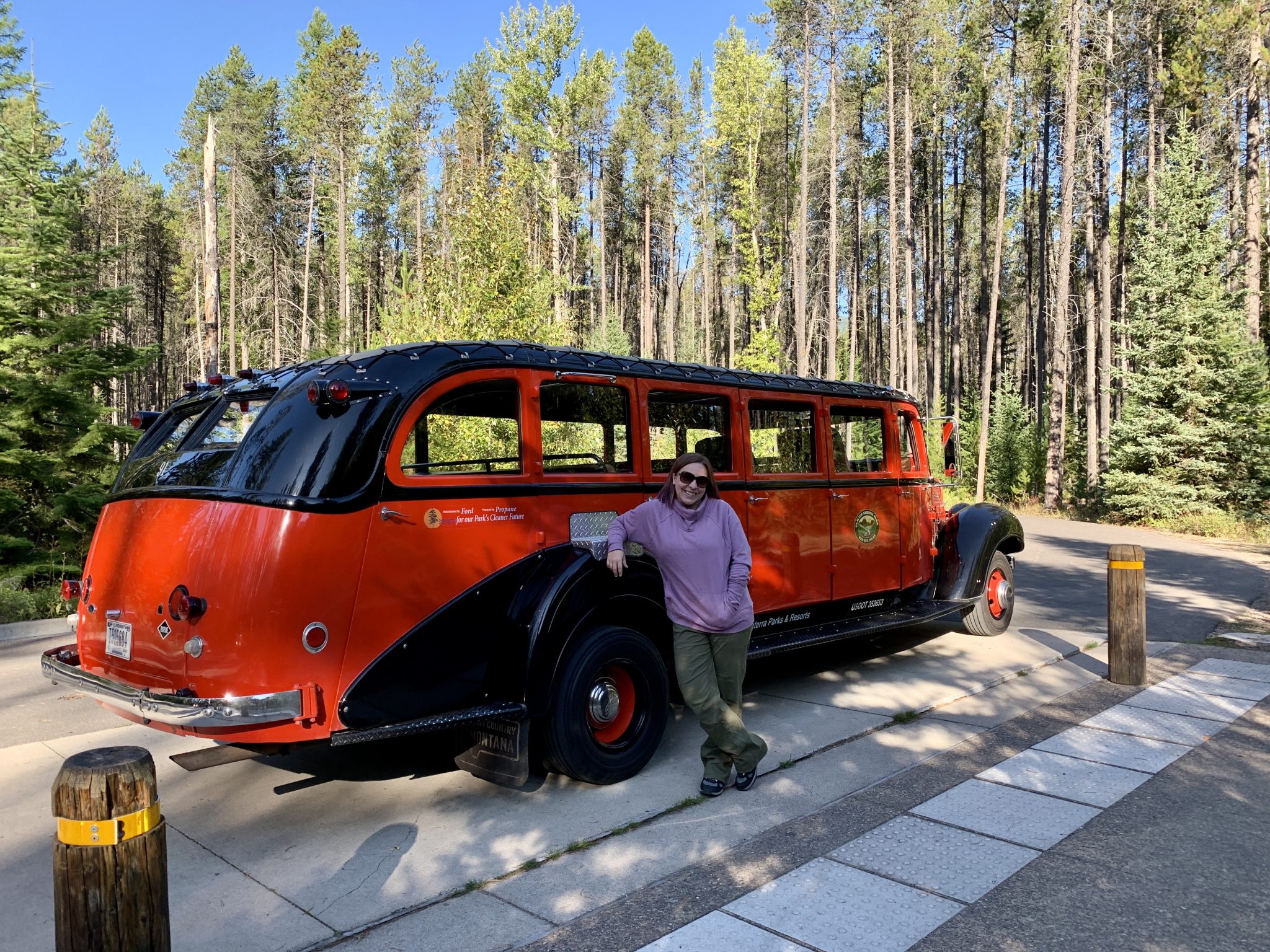 Take a Red Bus Tour of GoingtotheSun Road at Glacier National Park