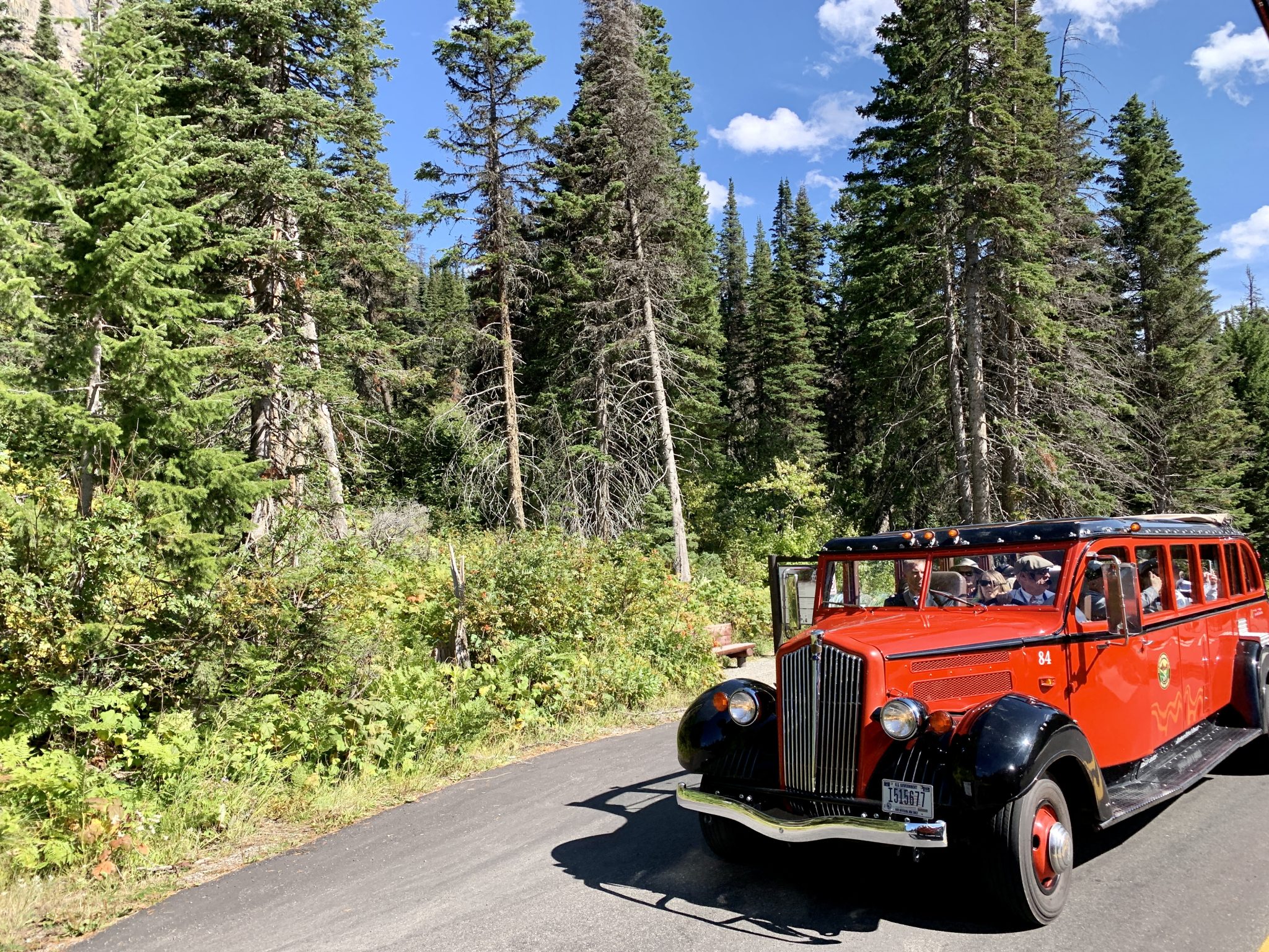 sun bus tour glacier national park