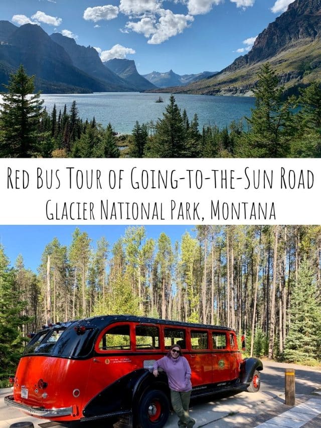 Take a Red Bus Tour of Going-to-the-Sun Road