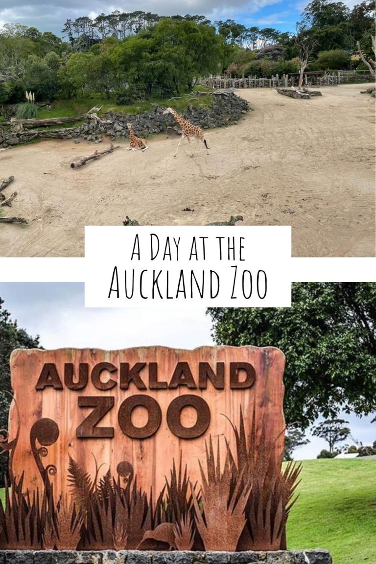 A Day at the Auckland Zoo