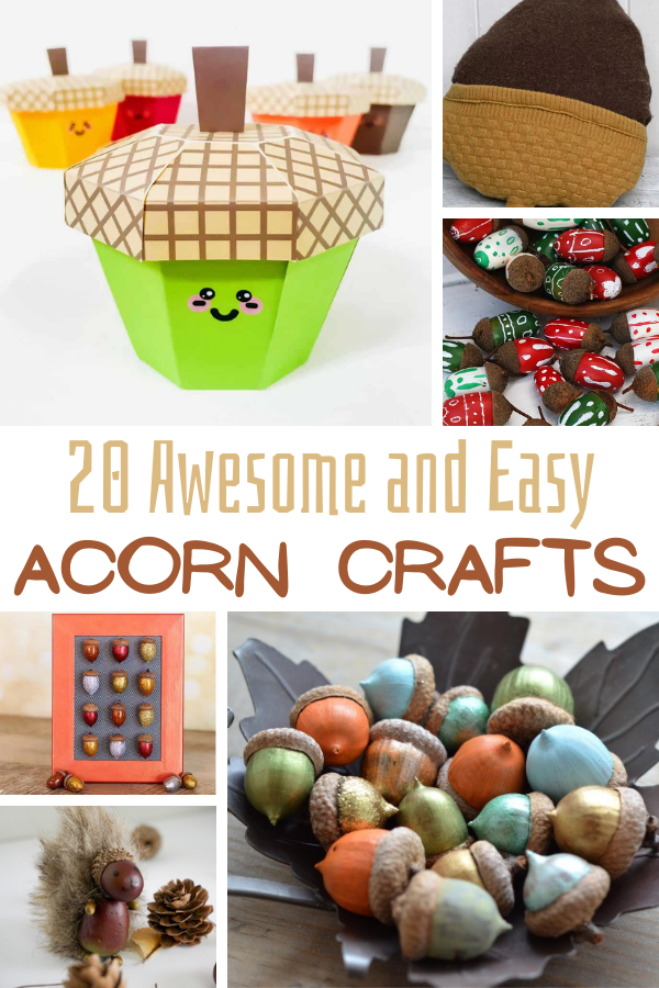 Acorn kids deals craft