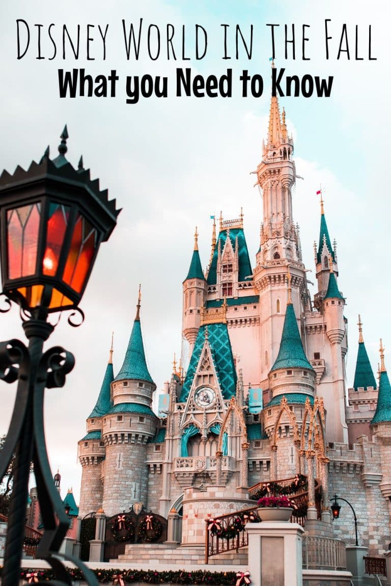 Disney World in Fall: The Top 5 Things You Need to Know