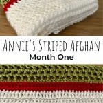 Annie's Striped Afghan Month One