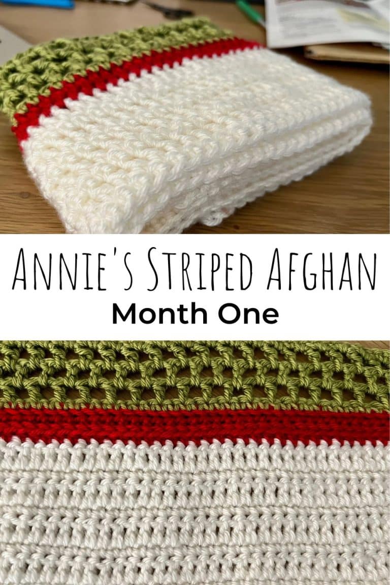 Annie’s Striped Afghan Month One