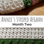 Annie's Striped Afghan Month Two
