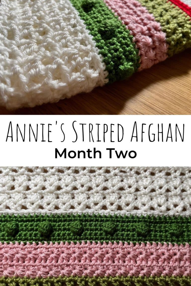 Annie’s Striped Afghan Month Two