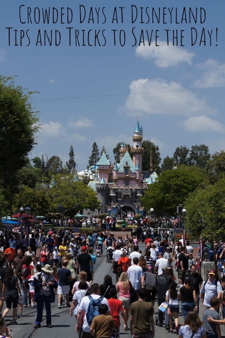 Crowded Days at Disneyland Five Tips to Save the Day!