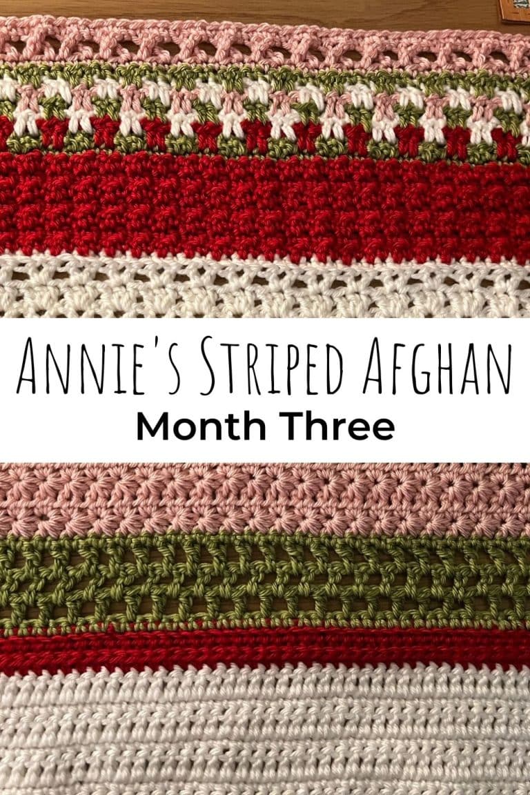 Annie’s Striped Afghan Month Three